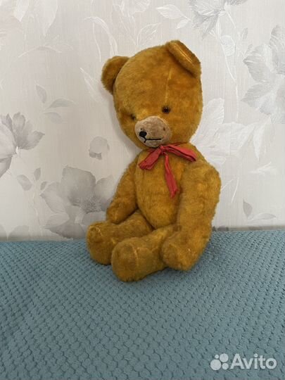 Медведи СССР