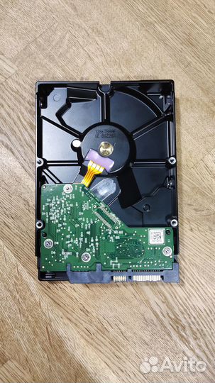 Жесткий диск Western Digital Caviar Blue 1000 Гб