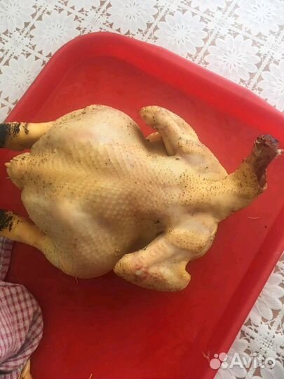Мясо бройлера