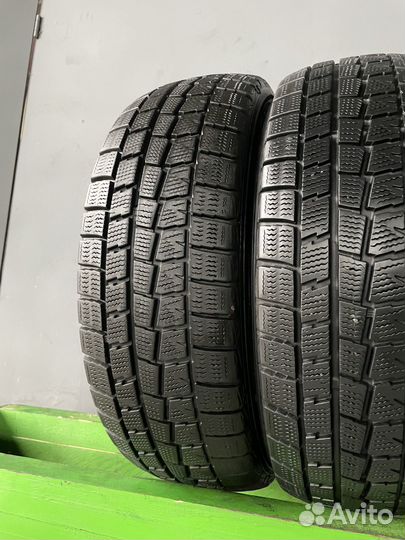 Dunlop Winter Maxx WM01 175/65 R14 82Q