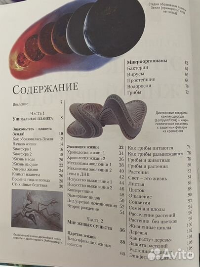 Энциклопедия живой природы