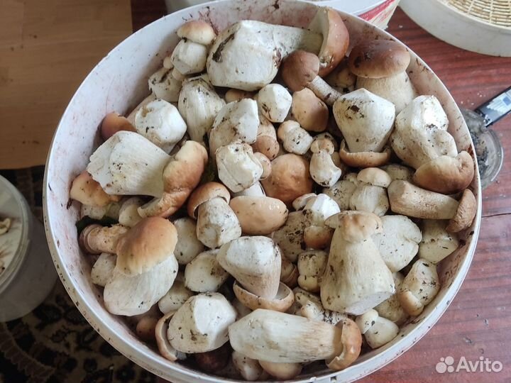 Клюква свежая