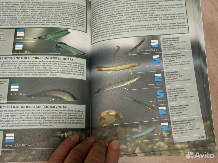 Аквариумные рыбки атлас справочник