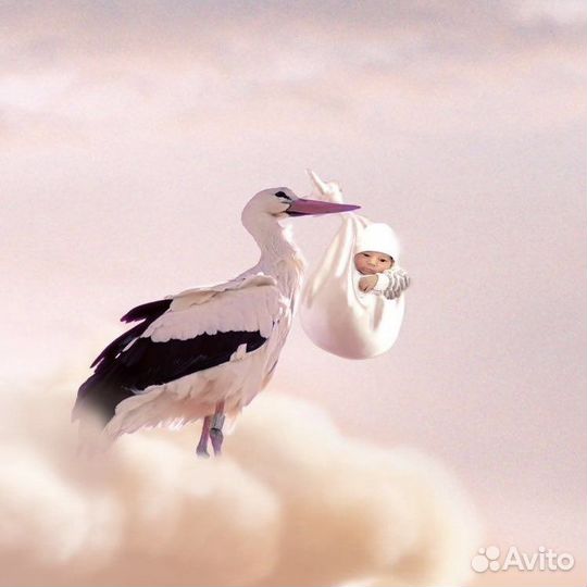 Определение пола будущего ребёнка