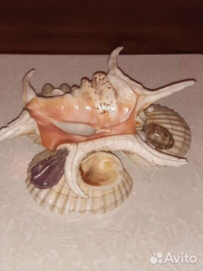 Сувениры из ракушек
