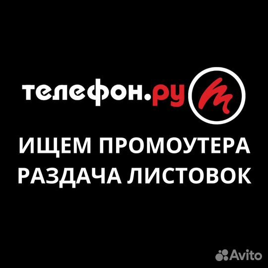 Промоутеры раздача листовок