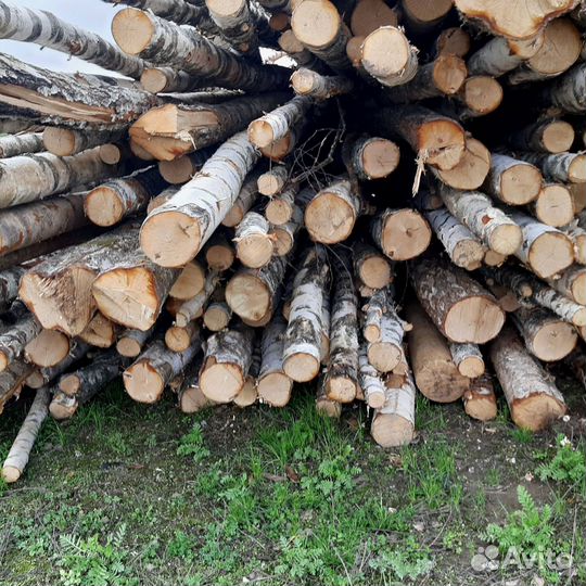 Дрова доставка