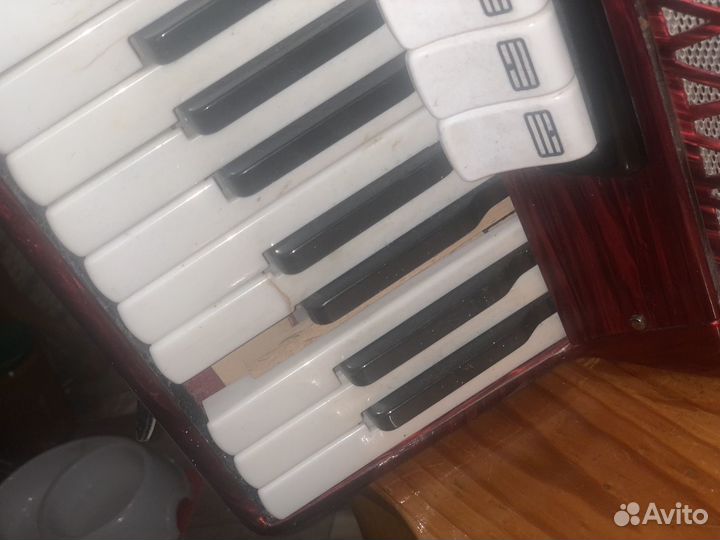 Аккордеон barcarole