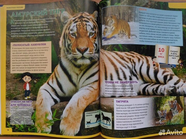 Книга о животном мире