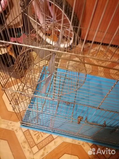 Большая клетка