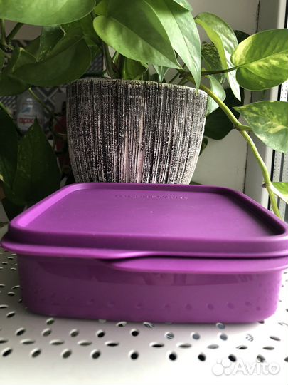 Контейнер ланч-бокс Tupperware
