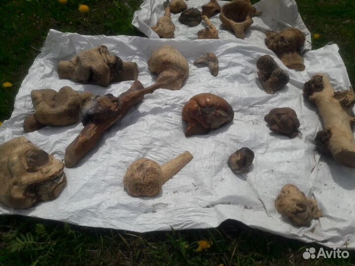 Кап (сувель)