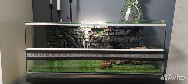 Фон для террариума 80*30