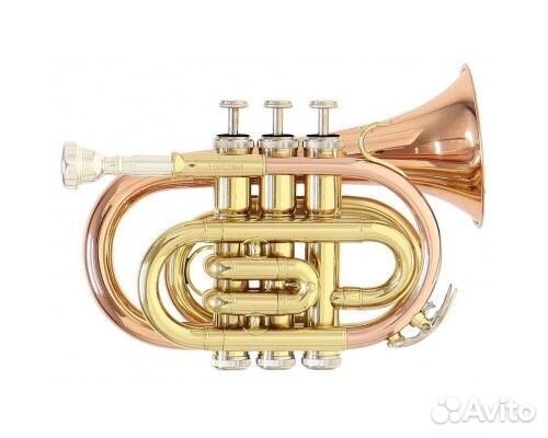 Труба Roy Benson рт-101 (Pocket) в ассортименте