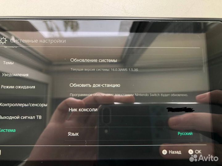 Nintendo Switch Rev 2 Animal Crossing Edition Чип