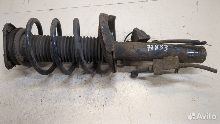 Амортизатор подвески Mazda 5 (CR), 2009