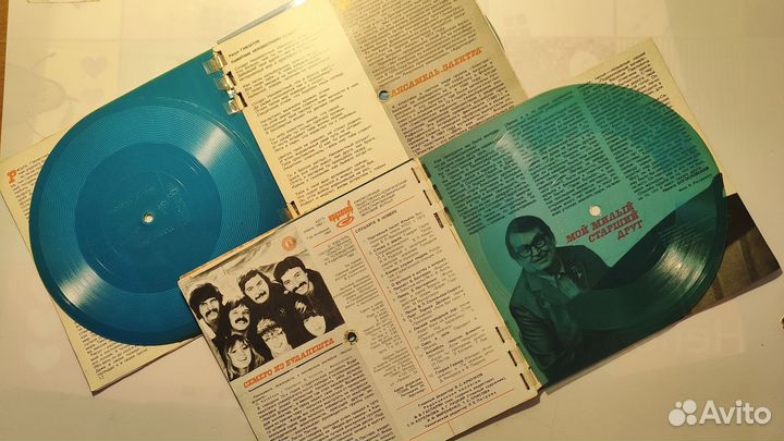 Журналы с гибкими пластинками 