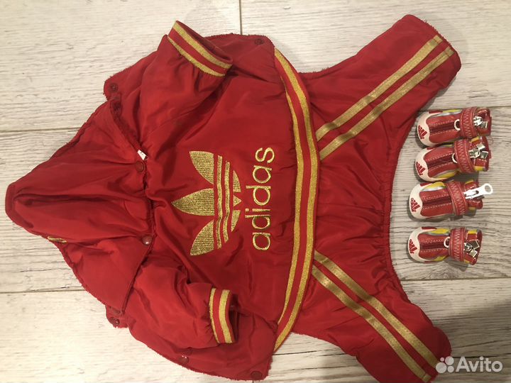 Одежда для маленьких собак