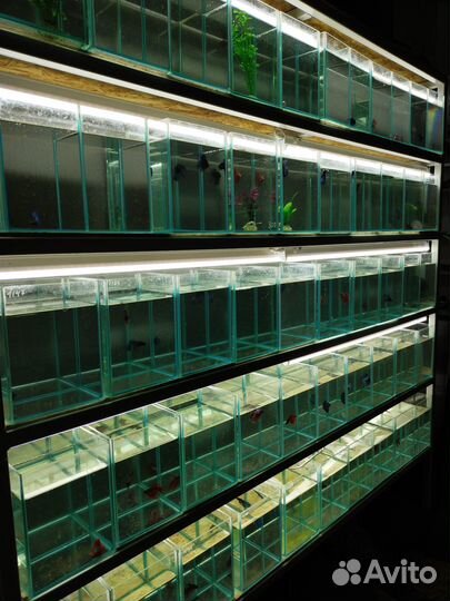 Наполнитель для фильтра - carbomax Plus 1л