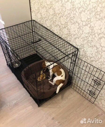 Клетки для собак