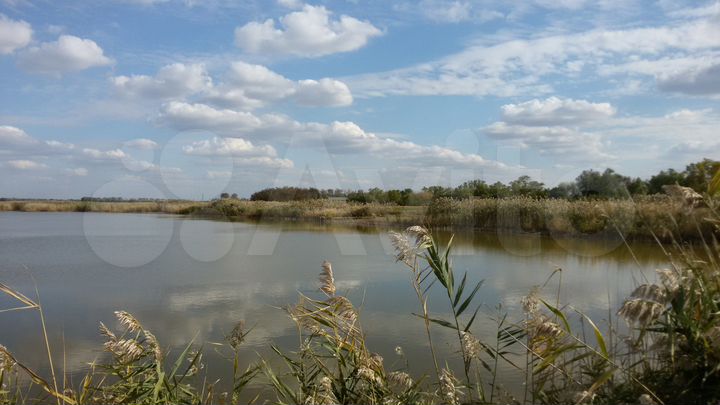 Участок 49 сот. (ИЖС)