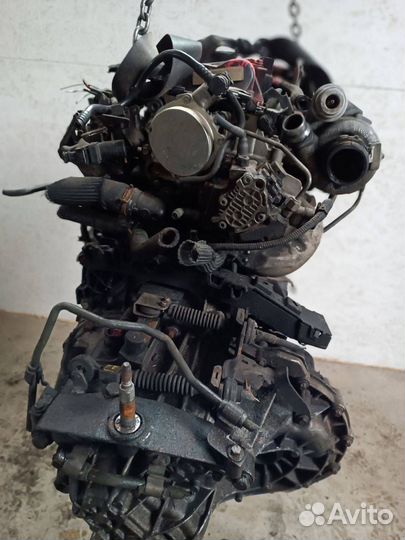 Двигатель M9R832 Renault Koleos 2.0 Дизель