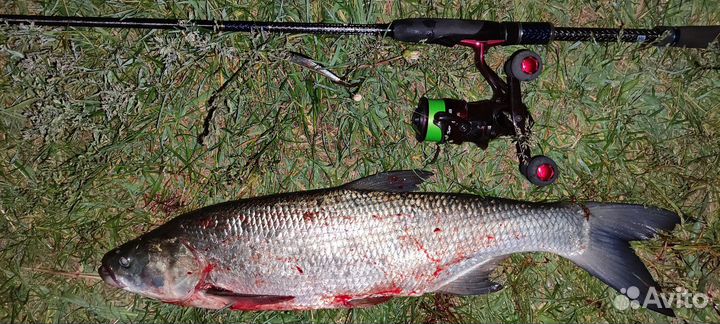 Спиннинг zetrix avalanche 2-12 и maximums anvil