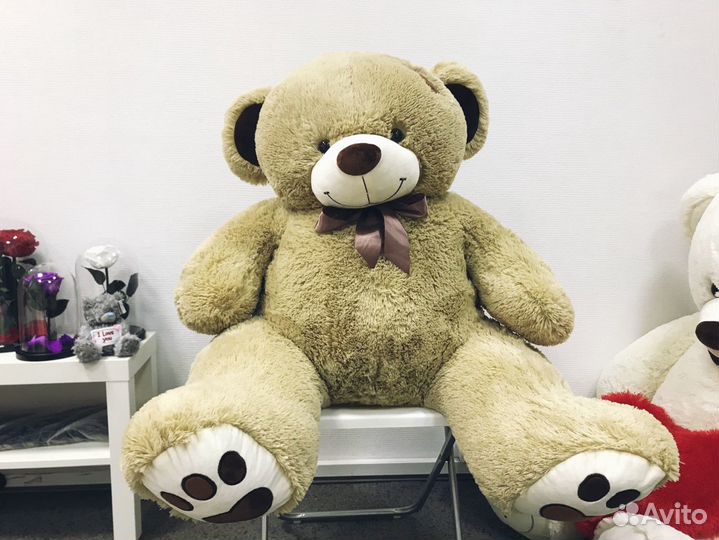Плюшевый мишка