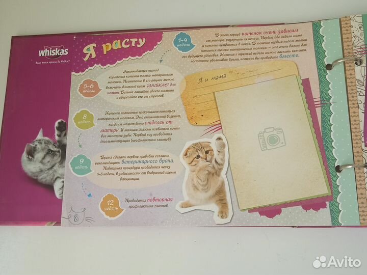 Альбом для твоего котенка