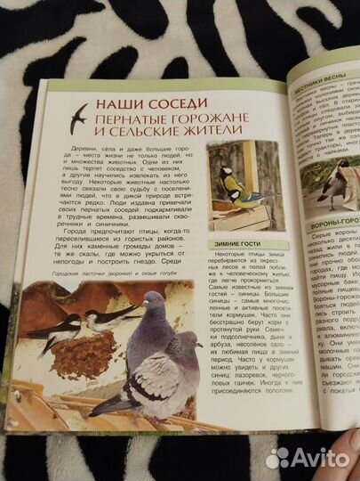 Детская энциклопедия Животные России