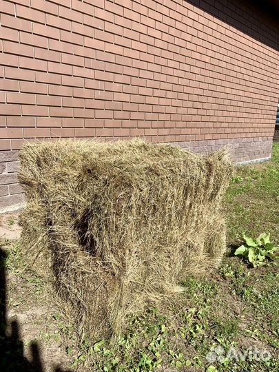 Сено в тюках