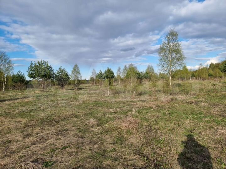 Участок 20 сот. (ИЖС)