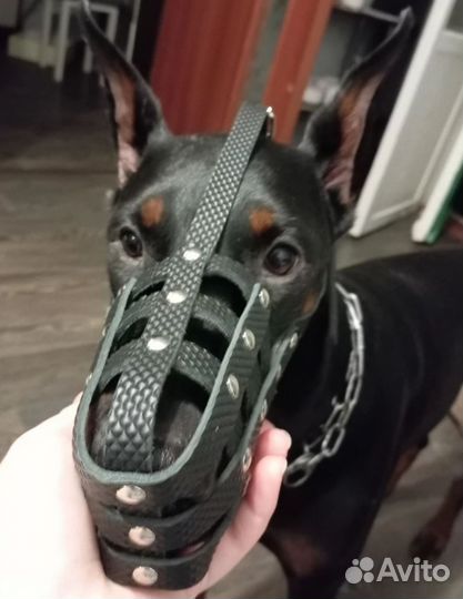 Намордник для большой собаки