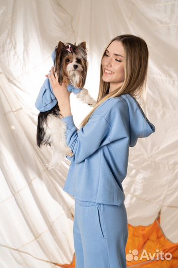 Одежда для собак