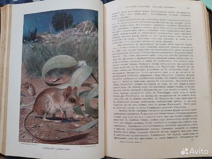 Продам антикварную книгу