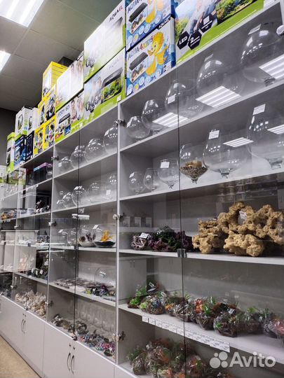 Аквариумный фильтр - aquael asap - от 50 - 300 л/ч