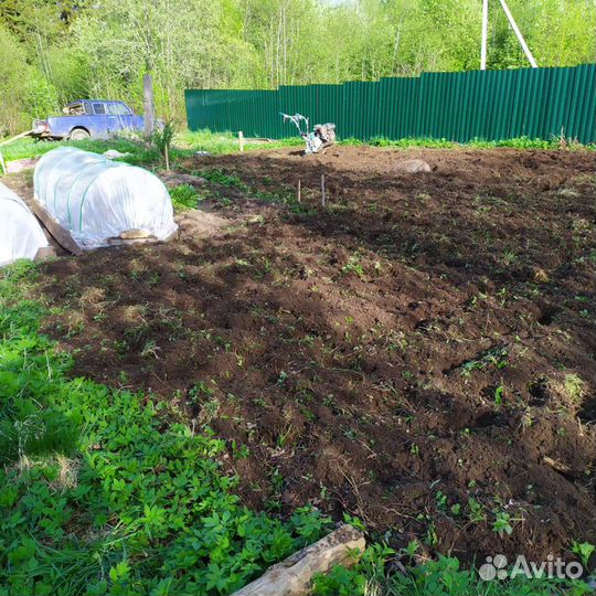 Услуги Мотоблок профессиональный