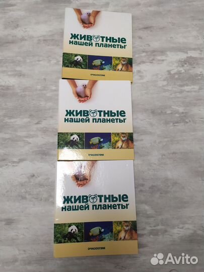 Энциклопедия