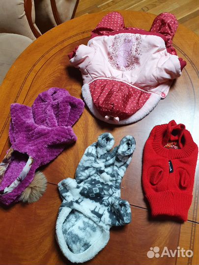 Одежда для маленькой собачки