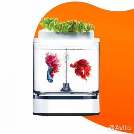 Акваферма xiaomi