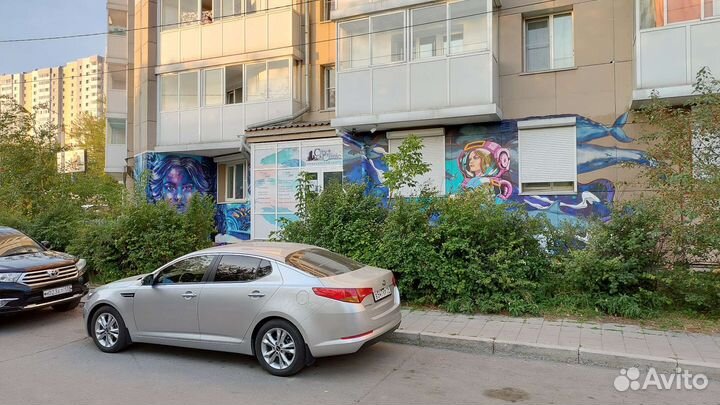 Роспись стен, граффити, аппаратная покраска стен