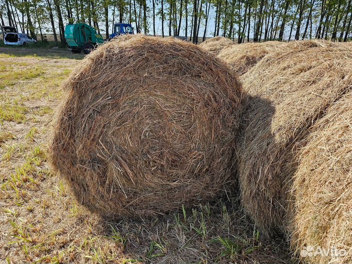 Сено луговое в рулонах