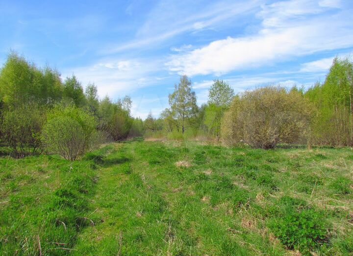 Участок 11,3 га (СНТ, ДНП)