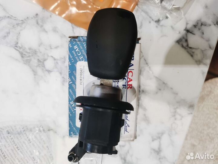 Личинка замка рено