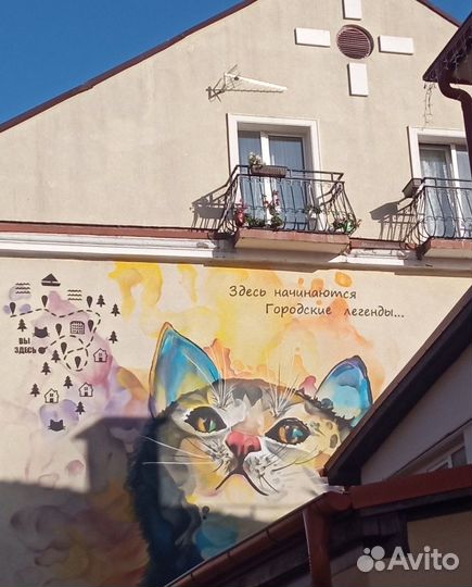 Калининград, Куршская Коса