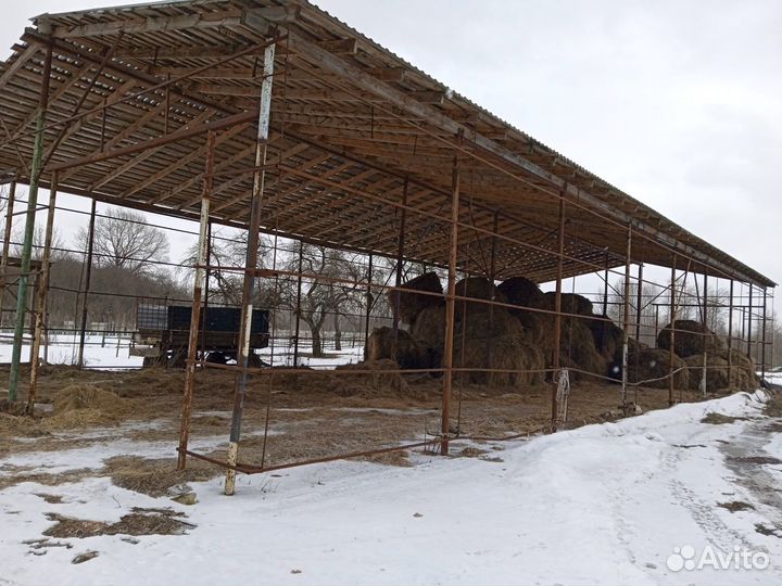 Животноводческая ферма