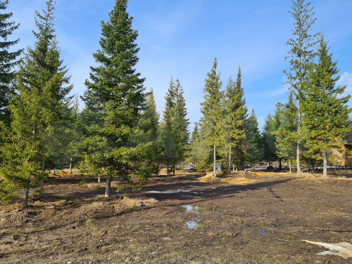 Участок 18,5 сот. (СНТ, ДНП)