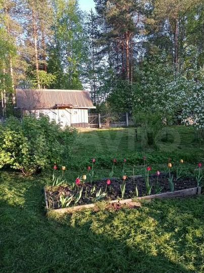 Дача 20 м² на участке 8 сот.