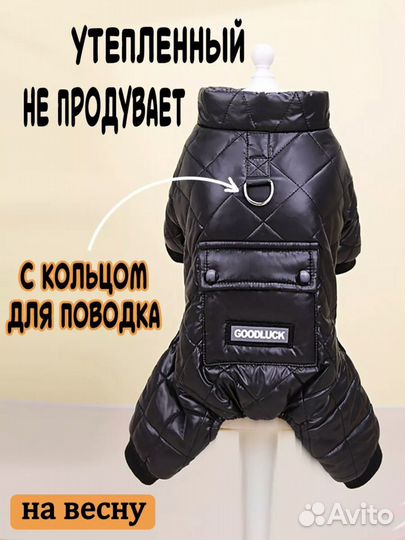 Комбинезон для собаки
