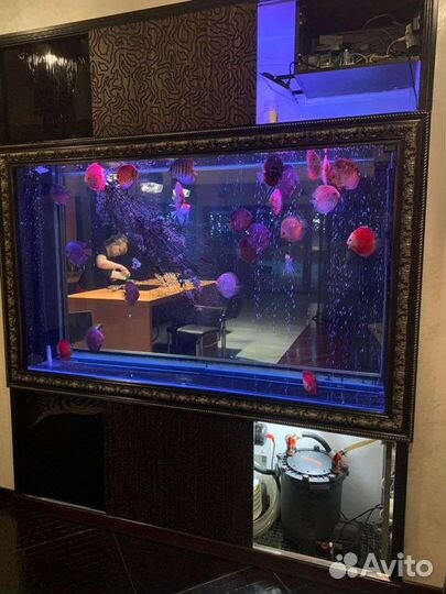 Изготовление и ремонт аквариумов